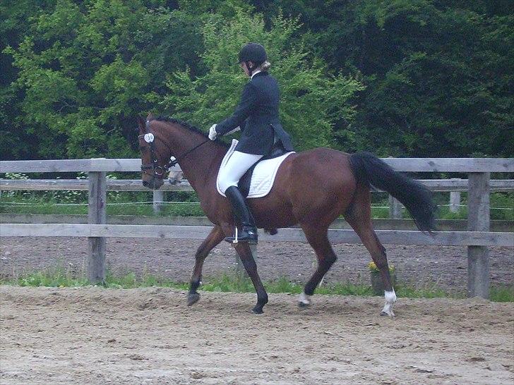 Stævne Ebeltoft Rideklub ;-) billede 28