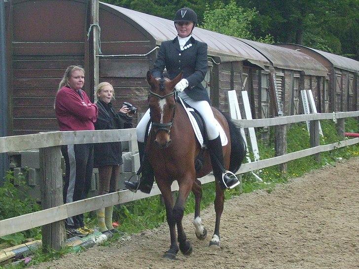 Stævne Ebeltoft Rideklub ;-) billede 29