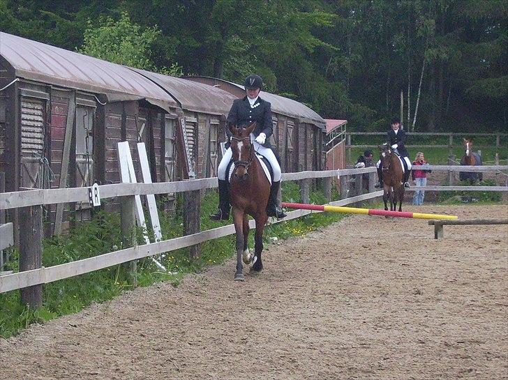 Stævne Ebeltoft Rideklub ;-) billede 30