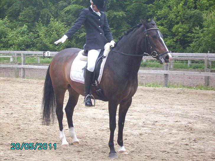 Stævne Ebeltoft Rideklub ;-) billede 34