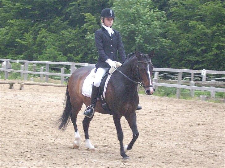 Stævne Ebeltoft Rideklub ;-) billede 35