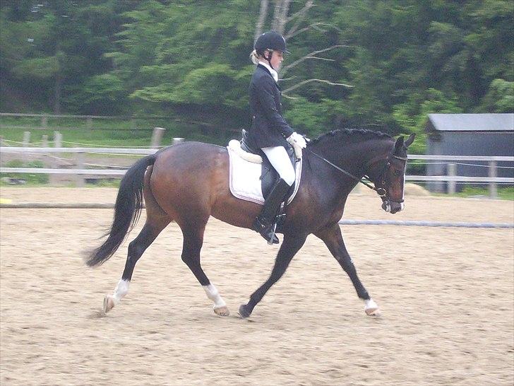 Stævne Ebeltoft Rideklub ;-) billede 36