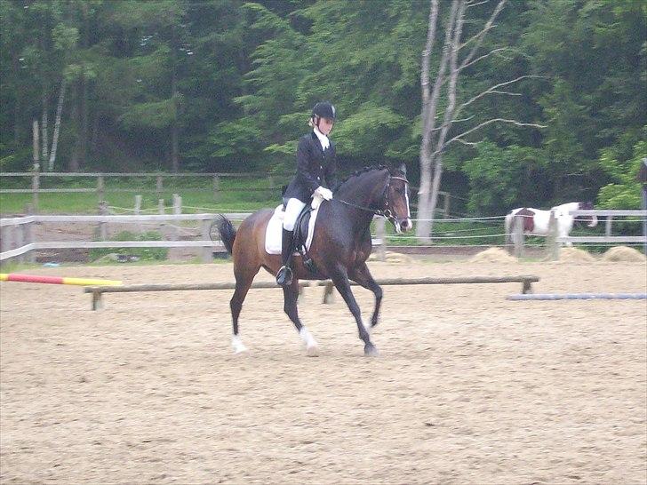 Stævne Ebeltoft Rideklub ;-) billede 37