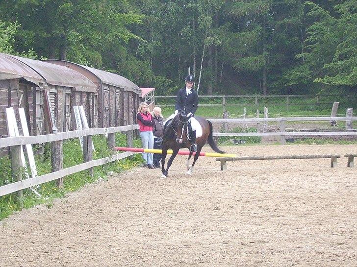 Stævne Ebeltoft Rideklub ;-) billede 38