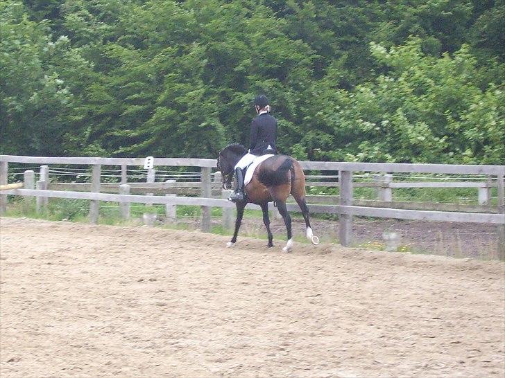 Stævne Ebeltoft Rideklub ;-) billede 39