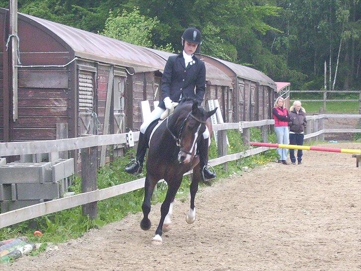 Stævne Ebeltoft Rideklub ;-) billede 40