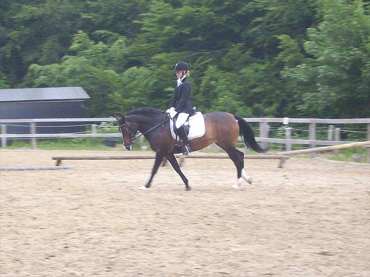 Stævne Ebeltoft Rideklub ;-) billede 41