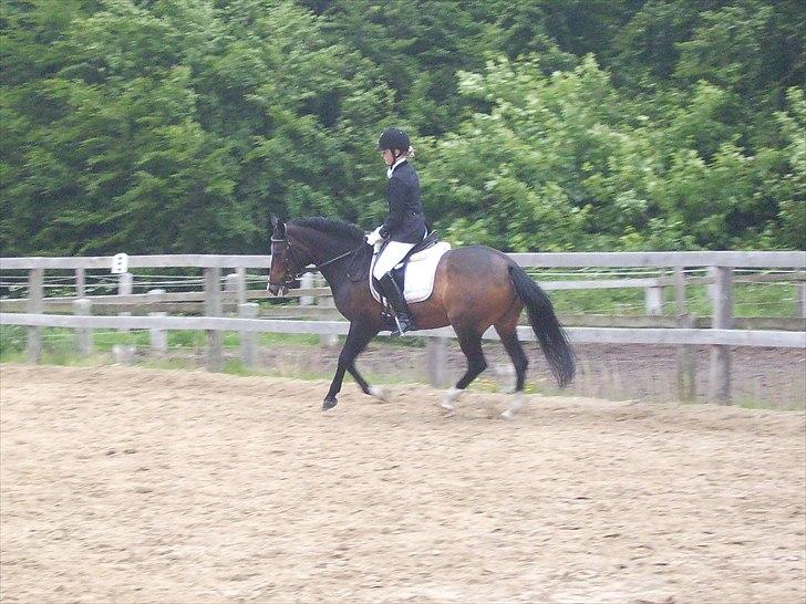 Stævne Ebeltoft Rideklub ;-) billede 42