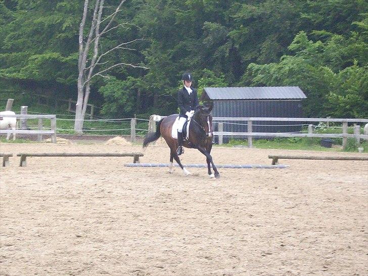 Stævne Ebeltoft Rideklub ;-) billede 45