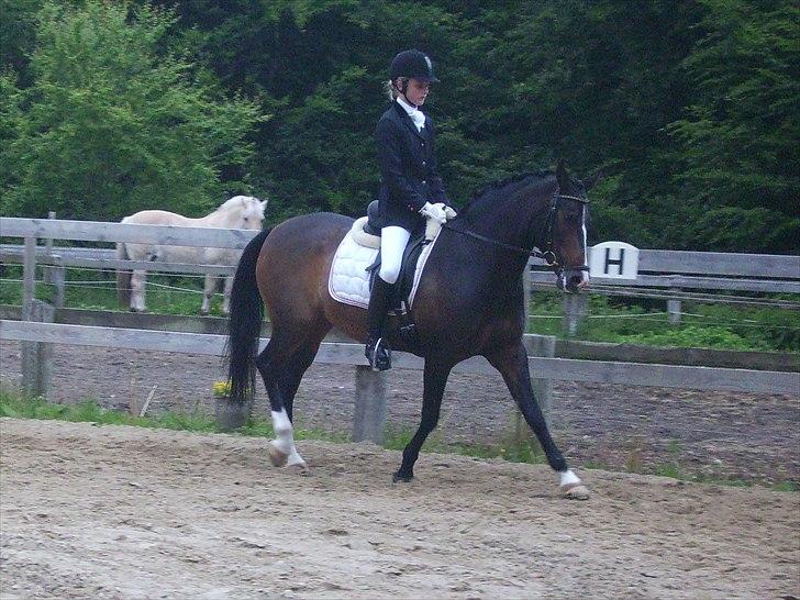 Stævne Ebeltoft Rideklub ;-) billede 46