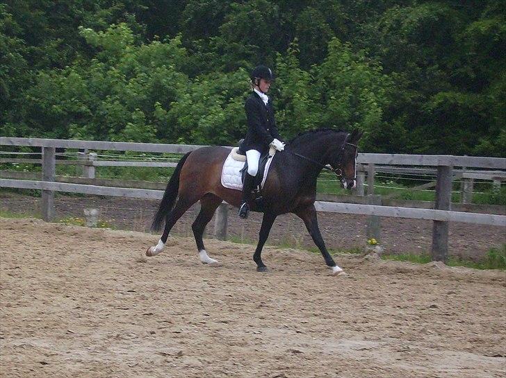 Stævne Ebeltoft Rideklub ;-) billede 47