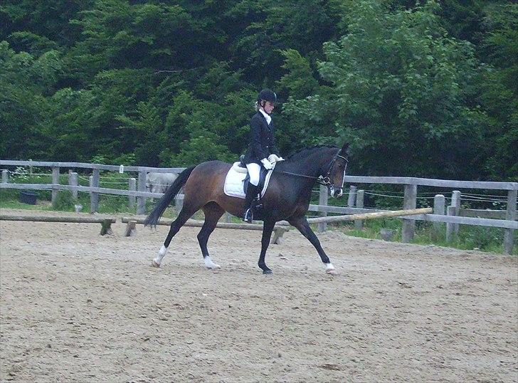 Stævne Ebeltoft Rideklub ;-) billede 48