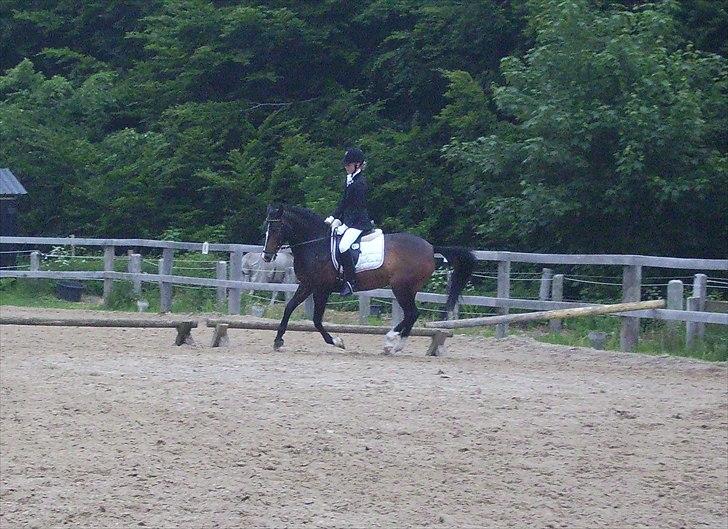 Stævne Ebeltoft Rideklub ;-) billede 49