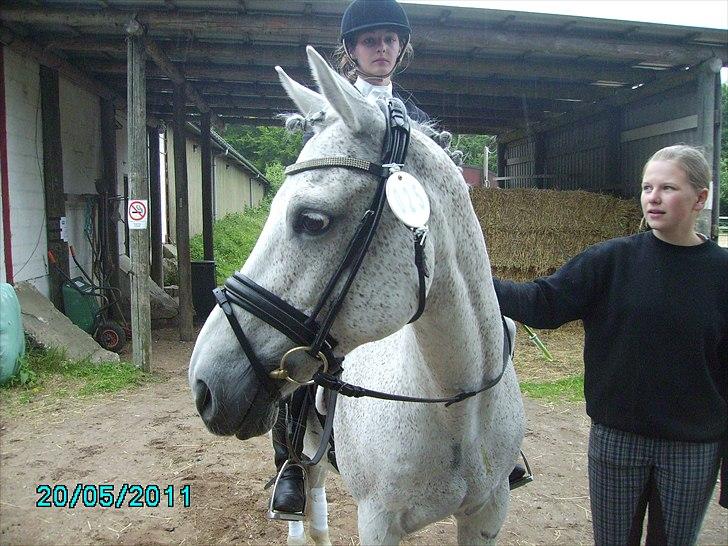 Stævne Ebeltoft Rideklub ;-) billede 50