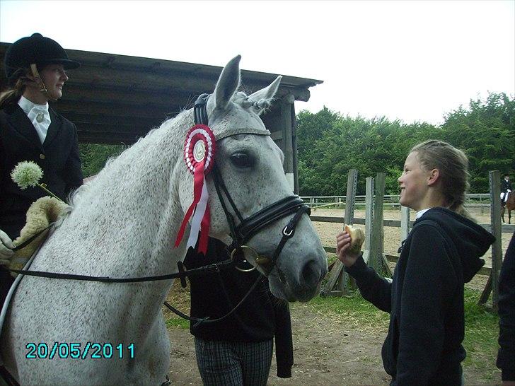Stævne Ebeltoft Rideklub ;-) billede 52