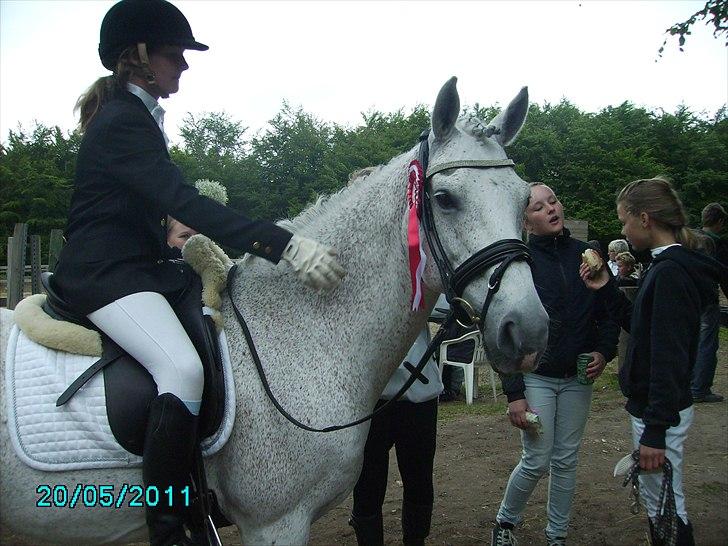 Stævne Ebeltoft Rideklub ;-) billede 53
