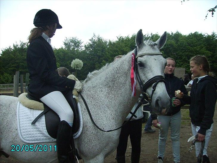 Stævne Ebeltoft Rideklub ;-) billede 54