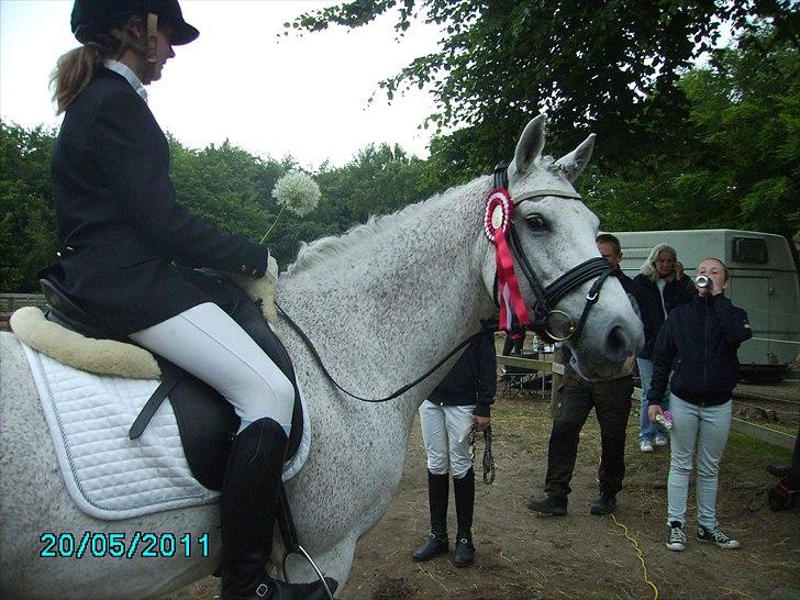 Stævne Ebeltoft Rideklub ;-) billede 55