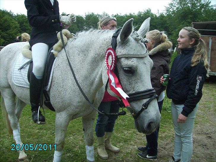 Stævne Ebeltoft Rideklub ;-) billede 56
