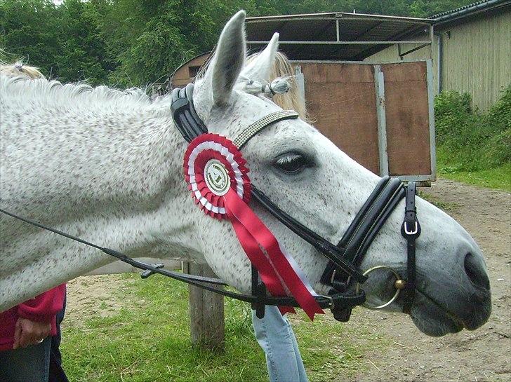 Stævne Ebeltoft Rideklub ;-) billede 57