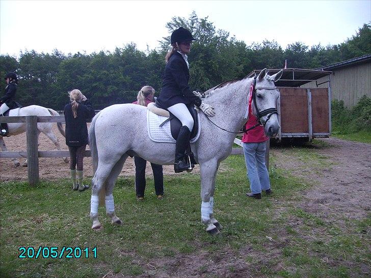 Stævne Ebeltoft Rideklub ;-) billede 60