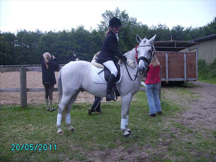 Stævne Ebeltoft Rideklub ;-) billede 61