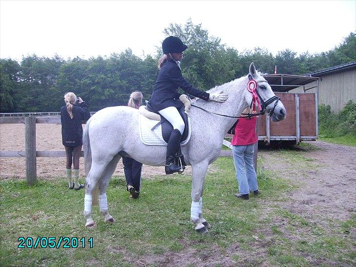 Stævne Ebeltoft Rideklub ;-) billede 62