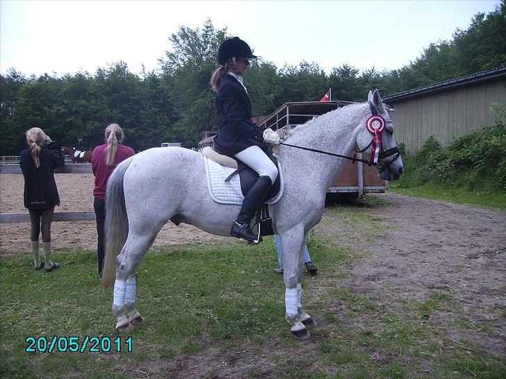 Stævne Ebeltoft Rideklub ;-) billede 63