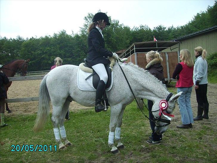 Stævne Ebeltoft Rideklub ;-) billede 64