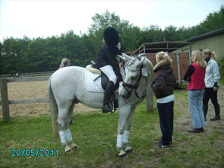 Stævne Ebeltoft Rideklub ;-) billede 65