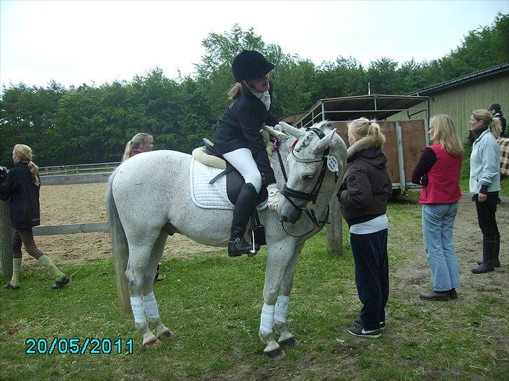 Stævne Ebeltoft Rideklub ;-) billede 66
