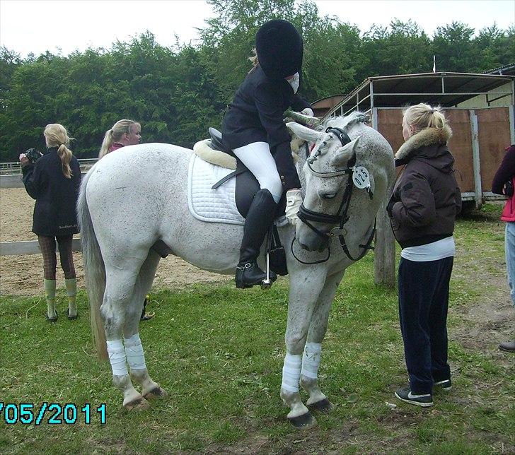 Stævne Ebeltoft Rideklub ;-) billede 67