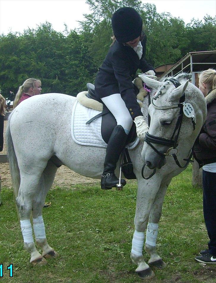 Stævne Ebeltoft Rideklub ;-) billede 68