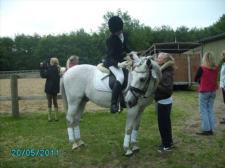Stævne Ebeltoft Rideklub ;-) billede 69