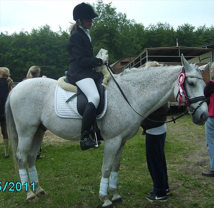 Stævne Ebeltoft Rideklub ;-) billede 70