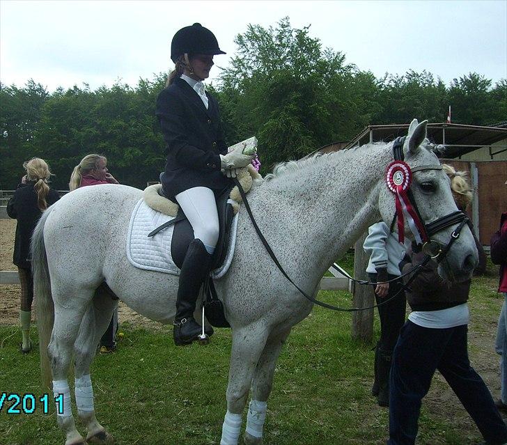 Stævne Ebeltoft Rideklub ;-) billede 71