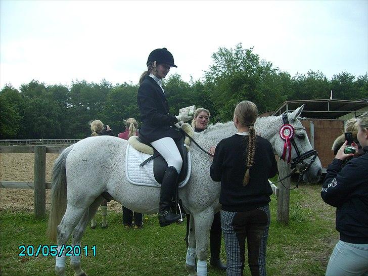 Stævne Ebeltoft Rideklub ;-) billede 72