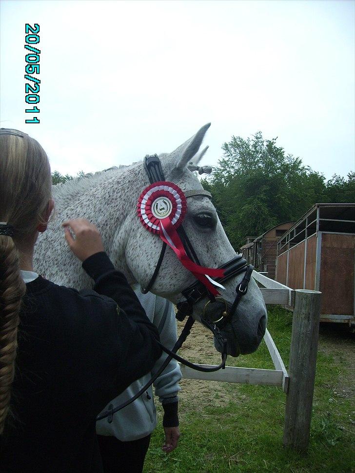 Stævne Ebeltoft Rideklub ;-) billede 73