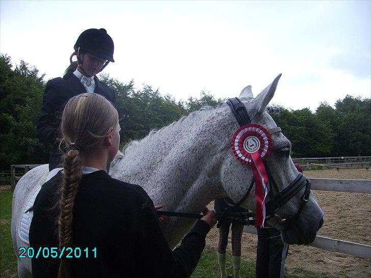 Stævne Ebeltoft Rideklub ;-) billede 75