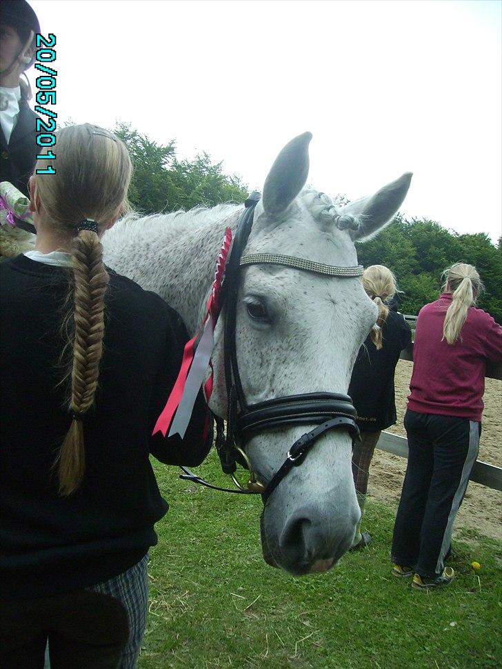 Stævne Ebeltoft Rideklub ;-) billede 76