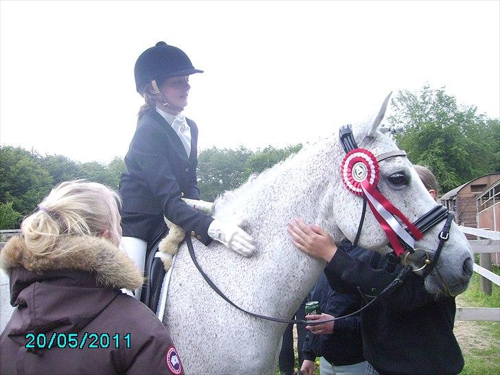 Stævne Ebeltoft Rideklub ;-) billede 77