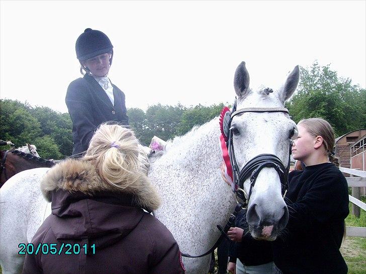 Stævne Ebeltoft Rideklub ;-) billede 78