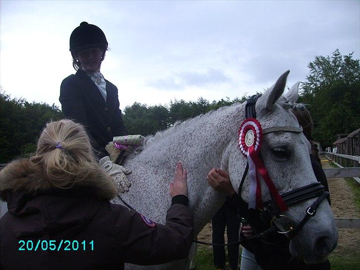 Stævne Ebeltoft Rideklub ;-) billede 79