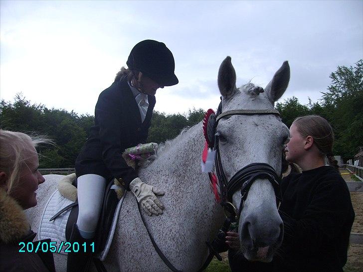 Stævne Ebeltoft Rideklub ;-) billede 80
