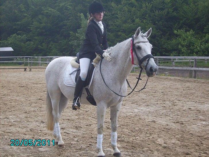 Stævne Ebeltoft Rideklub ;-) billede 81