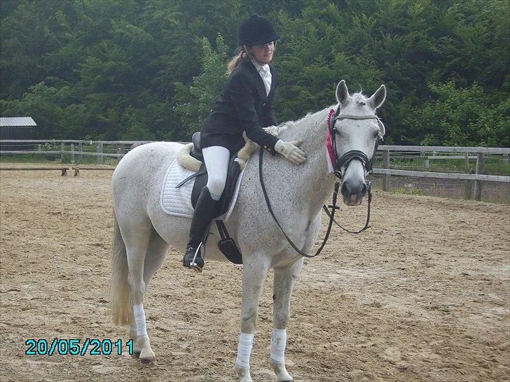 Stævne Ebeltoft Rideklub ;-) billede 84