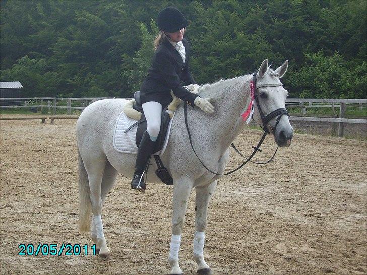 Stævne Ebeltoft Rideklub ;-) billede 85