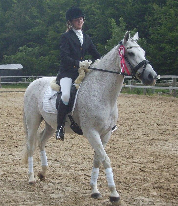 Stævne Ebeltoft Rideklub ;-) billede 86