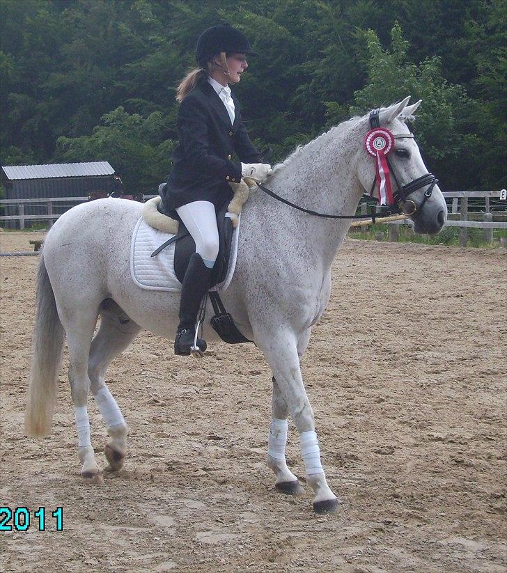 Stævne Ebeltoft Rideklub ;-) billede 88