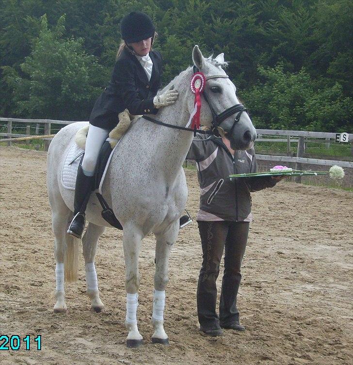 Stævne Ebeltoft Rideklub ;-) billede 90